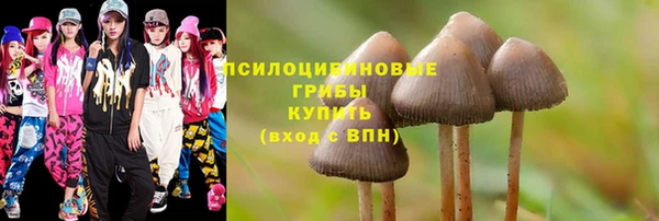 mdpv Гусиноозёрск