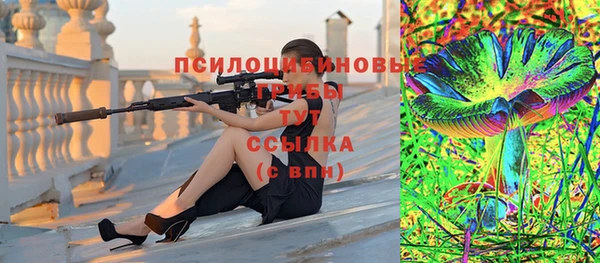 скорость Гусь-Хрустальный