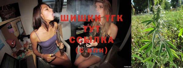 скорость Гусь-Хрустальный