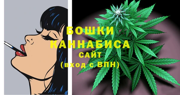 прущая мука Гусев